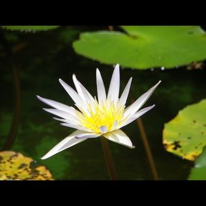 Meet your Posher, Marie